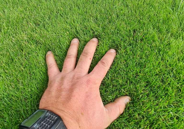 LawnCare - Pielęgnacja trawników